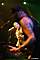 live2003_20.jpg